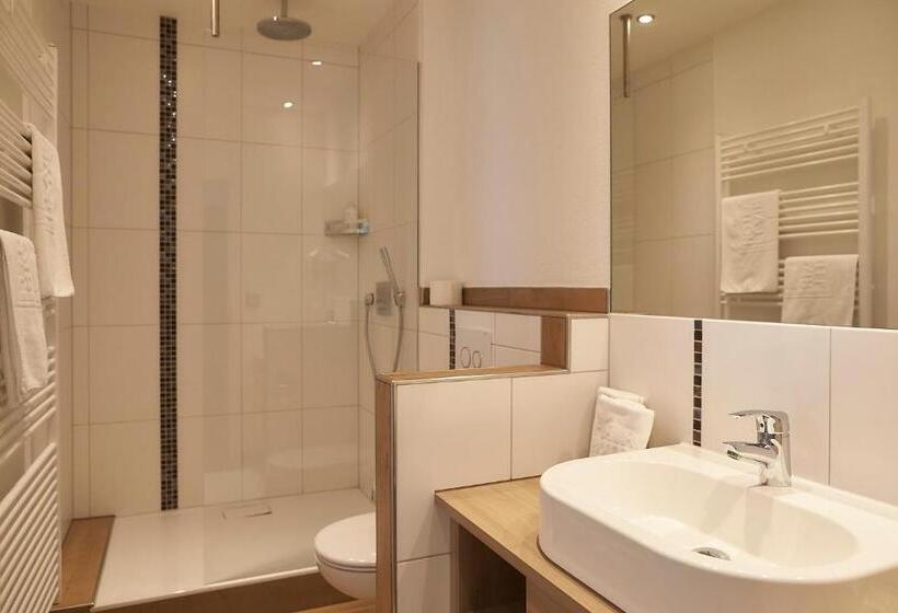 Номер Премиум, Flair Hotel Grüner Baum