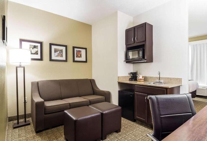 Люкс Кровать Кинг, Comfort Suites