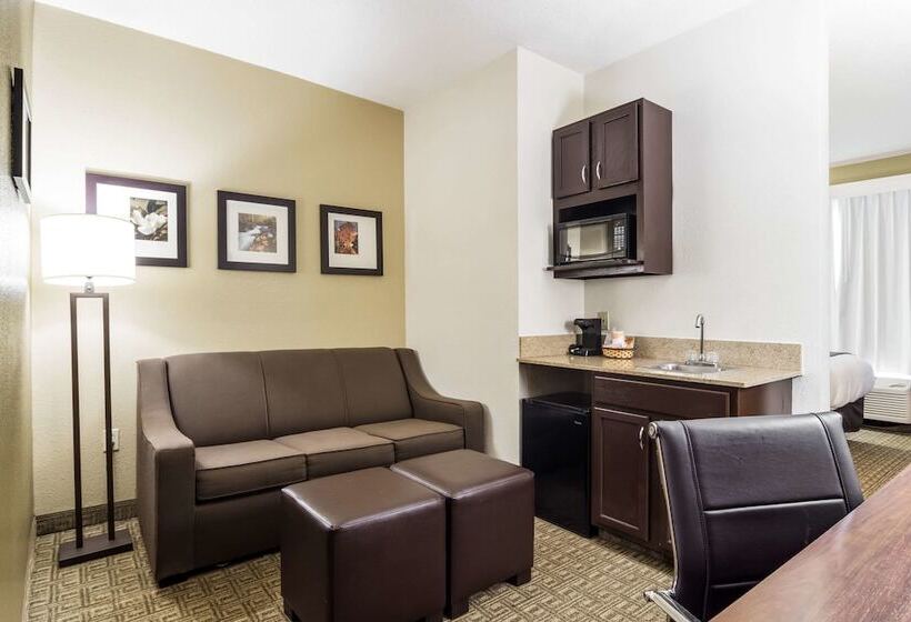 Люкс Адаптированный для Инвалидов, Comfort Suites