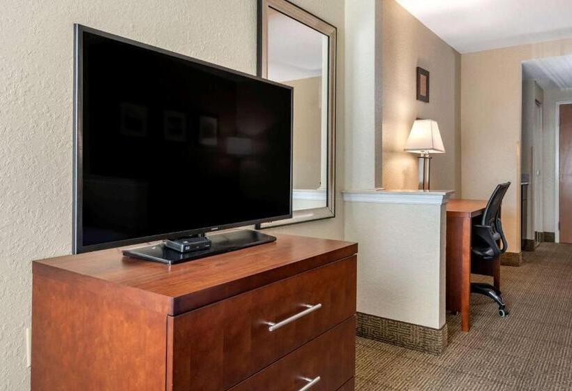스위트 킹사이즈 침대, Comfort Inn & Suites Deland  Near University
