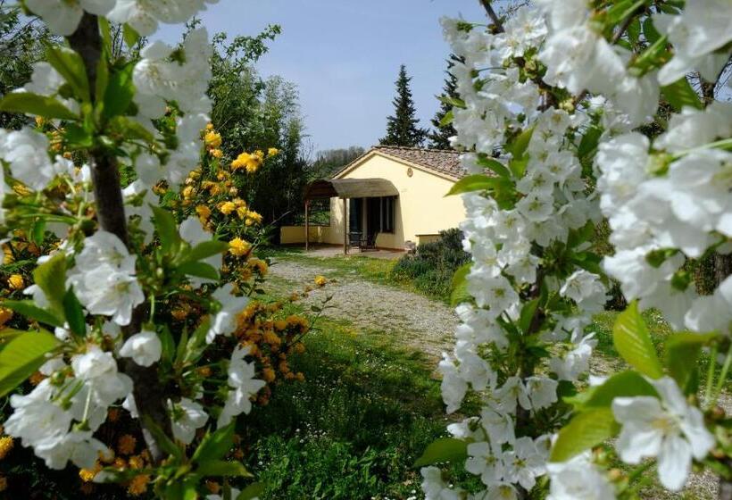 Апартаменты 2 Спальни, Agriturismo La Roverella