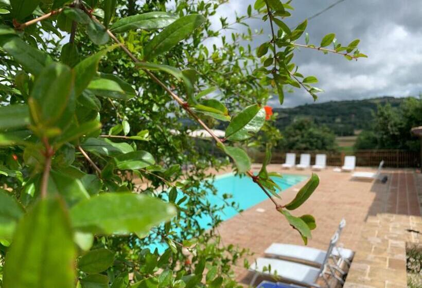 컴포트 트리플 룸, Agriturismo La Palazzetta Di Assisi