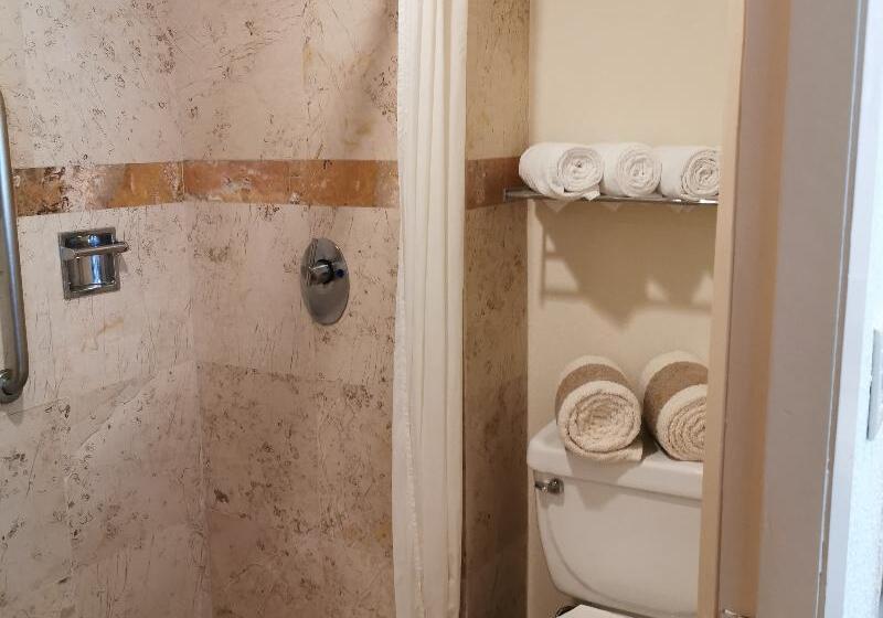 Standard Stúdió Szoba, Canto Del Sol Puerto Vallarta All Inclusive