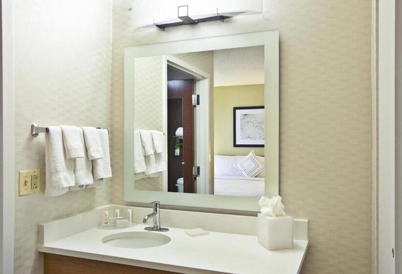 Executive Studio, Springhill Suites By Marriott Chicago Elmhurst Oakbrook Area