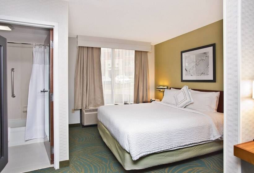 Executive Studio, Springhill Suites By Marriott Chicago Elmhurst Oakbrook Area