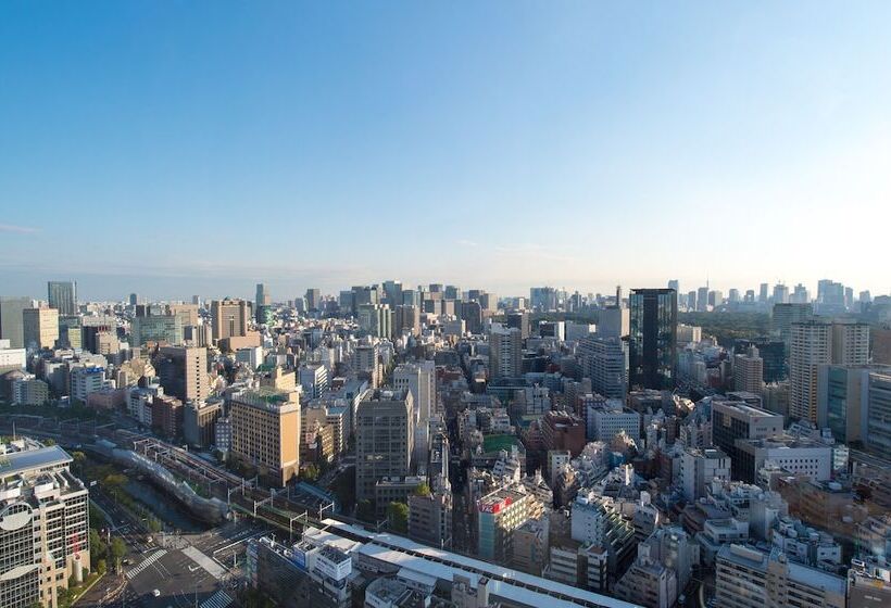 Номер Стандарт, Tokyo Dome
