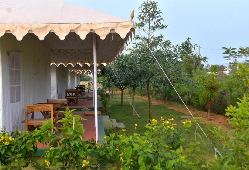 Standard Tent, Madho Bagh