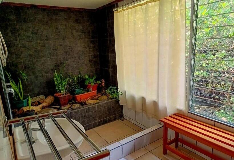 Четырехместный Номер Стандарт, Cabinas Agua Luna Frente Al Mar