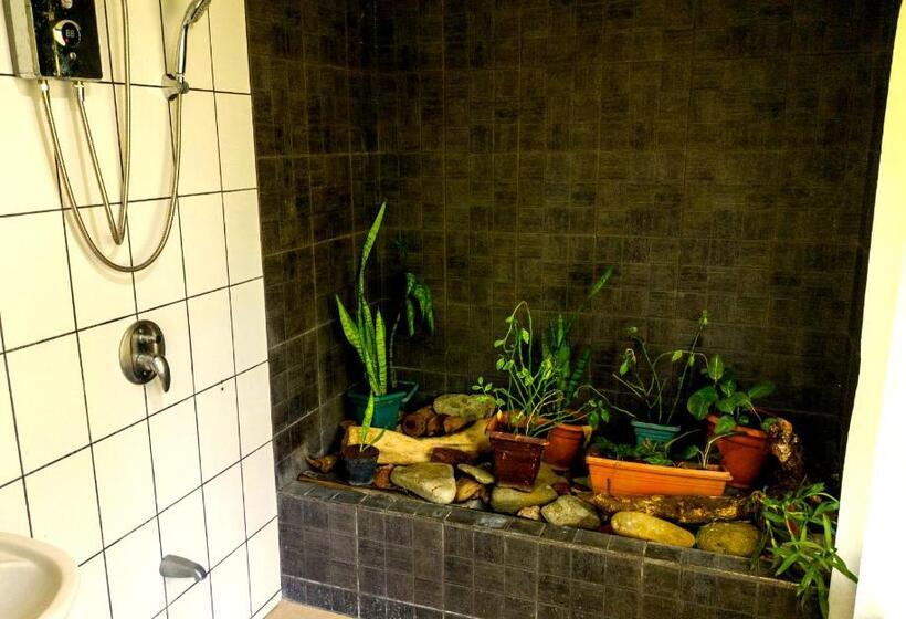 Четырехместный Номер Стандарт, Cabinas Agua Luna Frente Al Mar