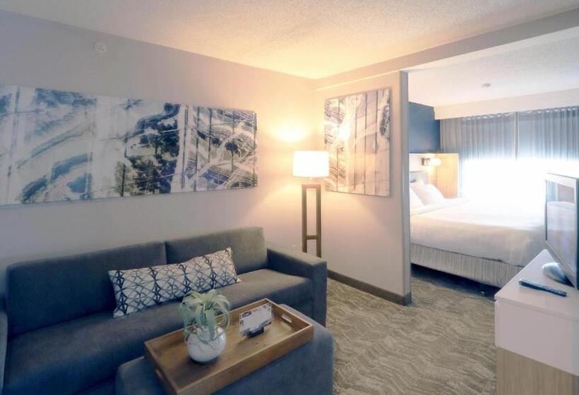 Студио Стандарт Кровать Кинг, Springhill Suites Minneapolis West St. Louis Park