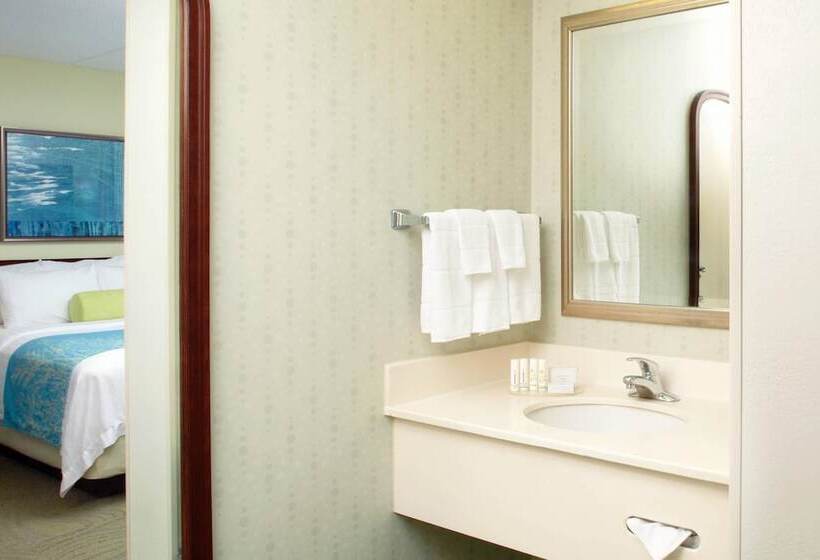 스탠다드 스튜디오, Springhill Suites By Marriott Pittsburgh Washington