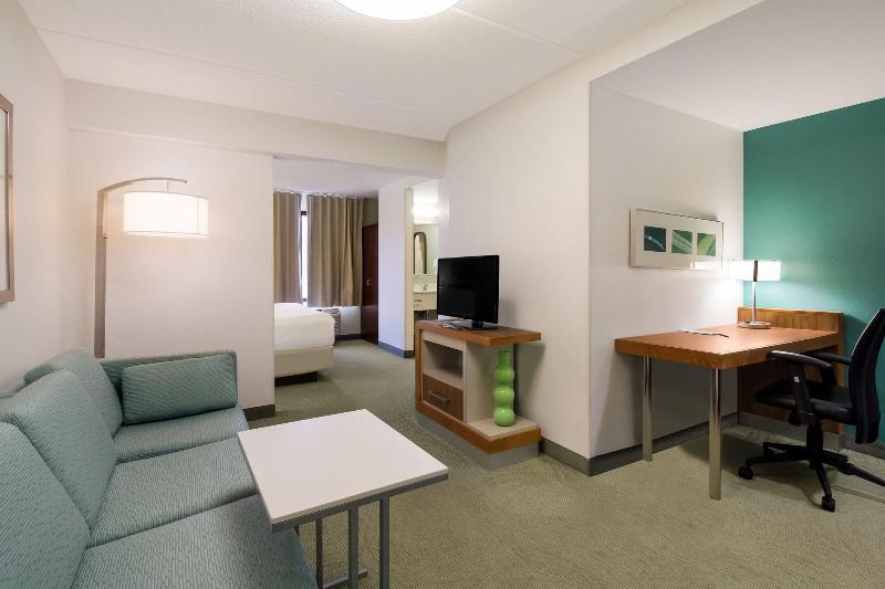 스탠다드 스튜디오 킹침대, Springhill Suites By Marriott Pittsburgh Washington