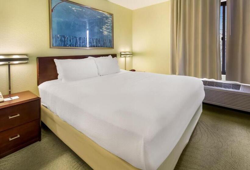 스탠다드 스튜디오 킹침대, Springhill Suites By Marriott Pittsburgh Washington