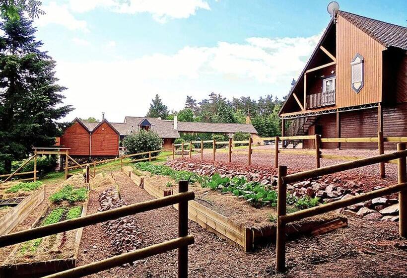 Номер Стандарт Трехместный, Du Côté De Chez Sam