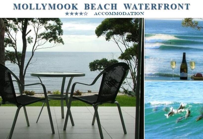 침실 1개 바다 전망 아파트, Mollymook Beach Waterfront