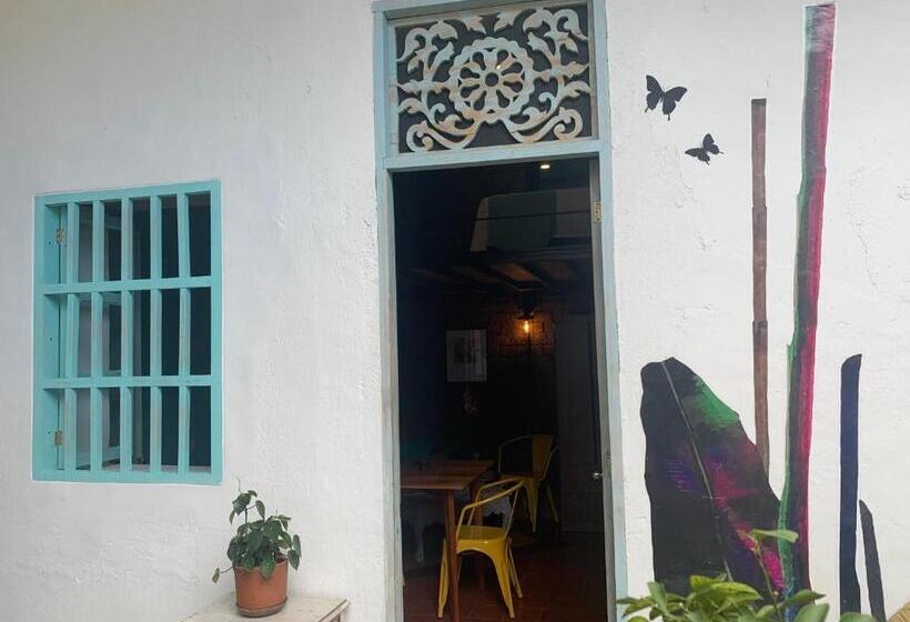 إستوديو سوبيريور, Moonshine Boutique Hostal