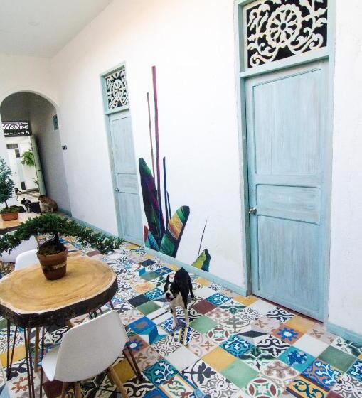 إستوديو سوبيريور, Moonshine Boutique Hostal