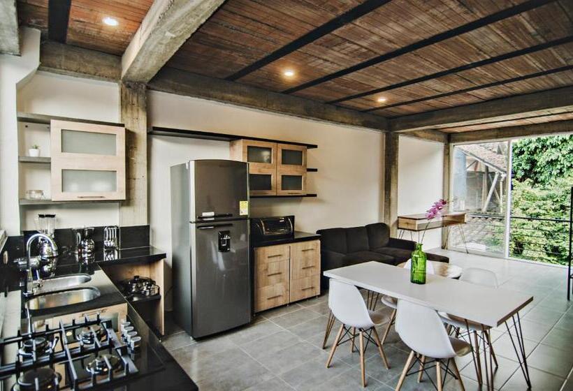 جناح, Moonshine Boutique Hostal