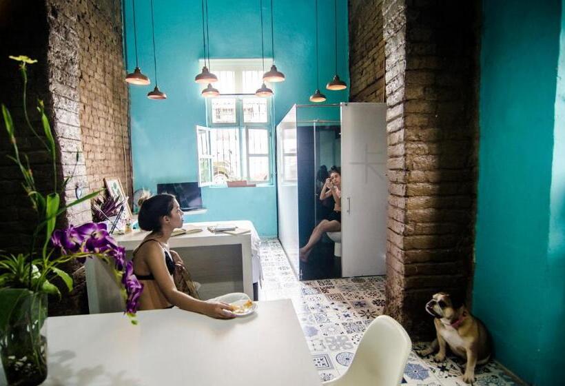 إستوديو ديلوكس, Moonshine Boutique Hostal