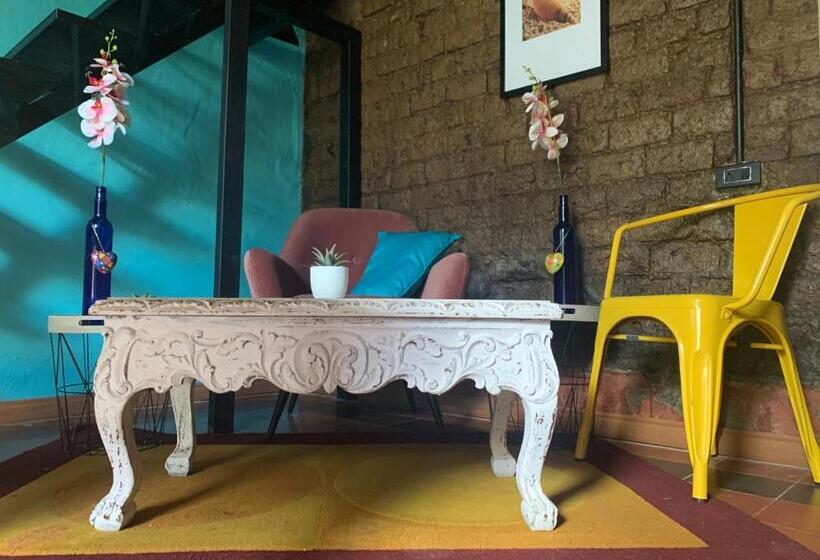 إستوديو سوبيريور, Moonshine Boutique Hostal