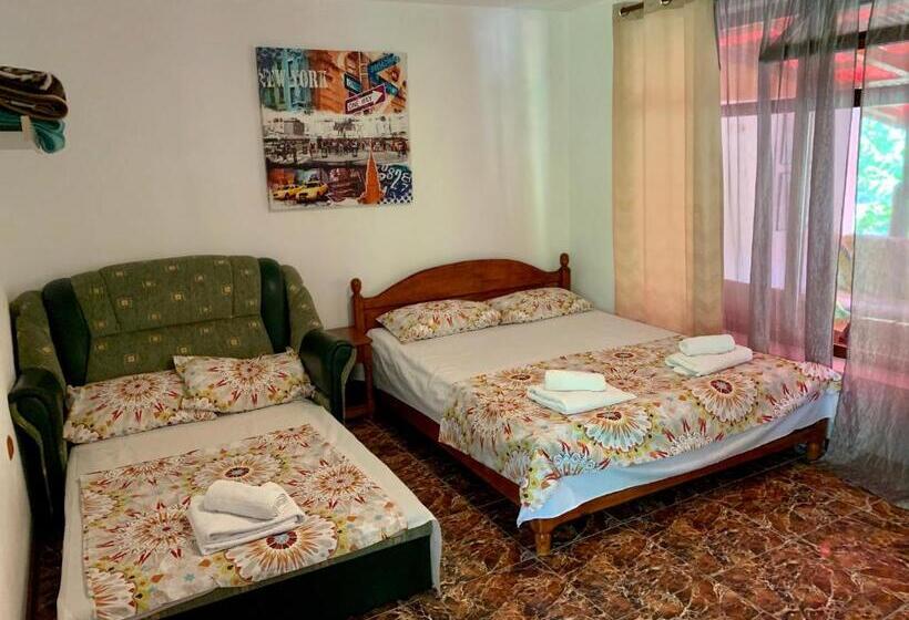 اتاق استاندارد سه نفره, Casa Palaghia