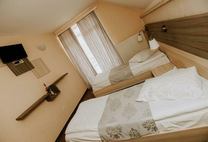 اتاق استاندارد با چشم‌انداز دریاچه, Guest House Lacul Linistit