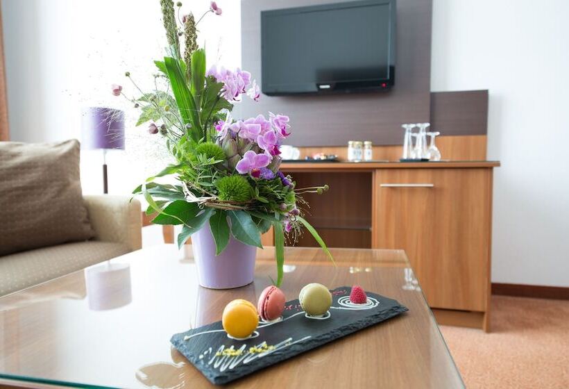 Полулюкс, Dorint Hotel Am Dom Erfurt