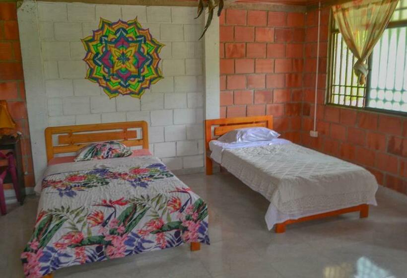 스탠다드 룸, Hostal Ariantiy
