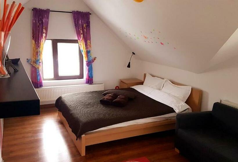 Семейный Номер, Pensiunea Casa Runcu Buzau
