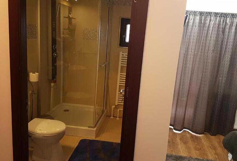 Номер Стандарт, Pensiunea Casa Runcu Buzau