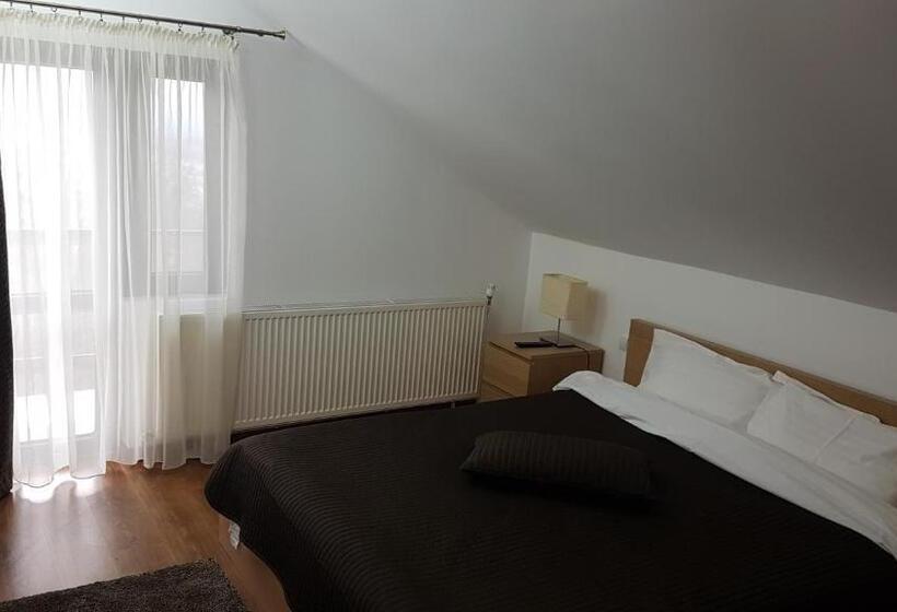 Семейный Номер, Pensiunea Casa Runcu Buzau