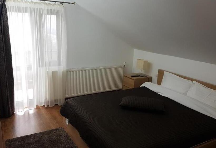 Семейный Номер, Pensiunea Casa Runcu Buzau