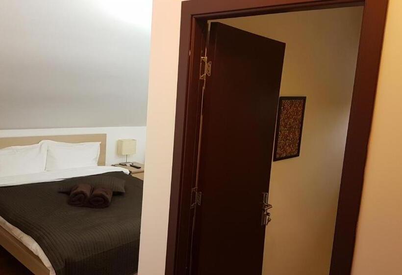 Номер Стандарт, Pensiunea Casa Runcu Buzau