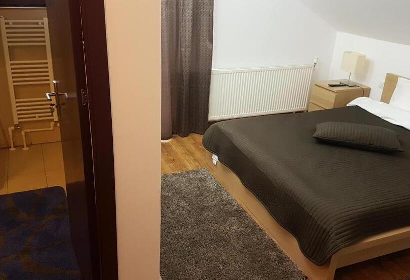 Дом 4 Спальни, Pensiunea Casa Runcu Buzau