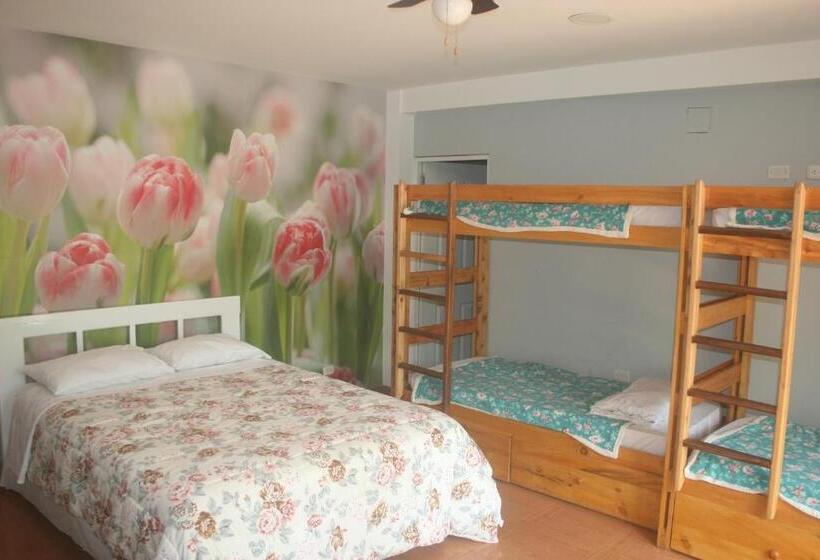 Family Suite, Zoila's Suite Escape