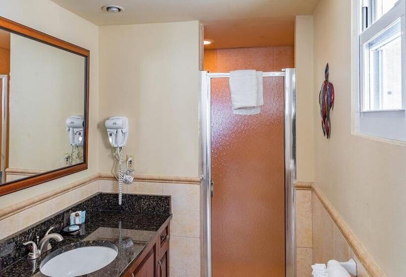 آپارتمان 1 خوابه با چشم‌انداز دریا, Coral Gardens On Grace Bay