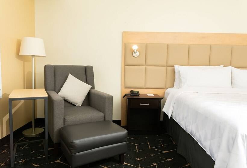 标准间, Holiday Inn San Salvador, An Ihg