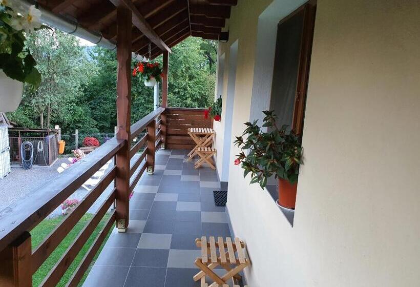 家庭间, Casa Monika Ciocarliei
