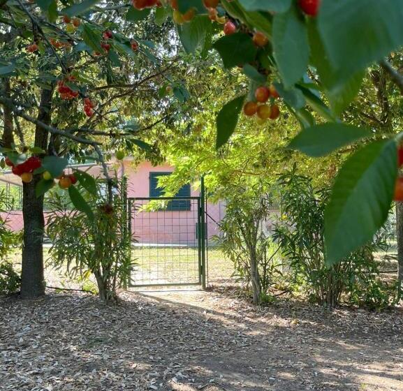 Апартаменты 2 Спальни, La Casa Rosa