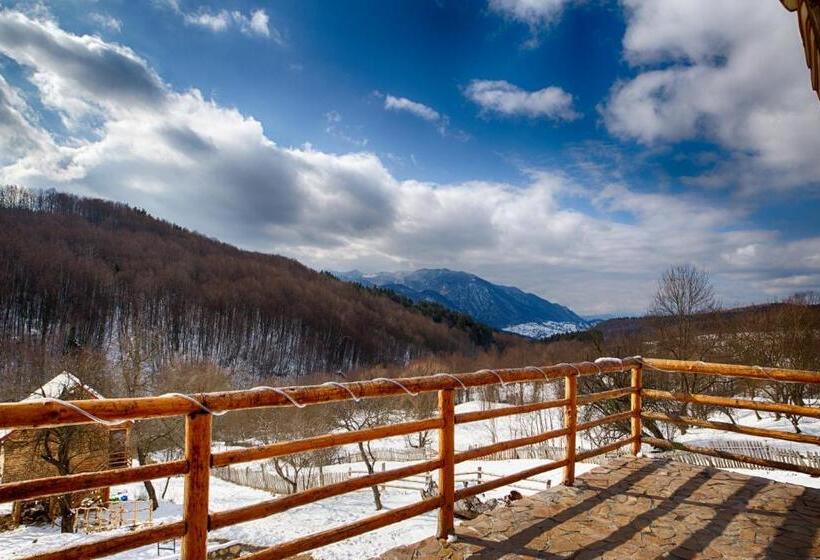 Номер Стандарт, Casa Din Piatra