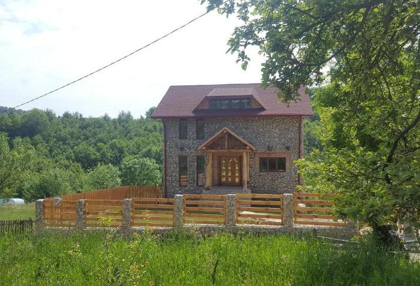 Номер Стандарт Совместная Ванная, Casa Din Piatra