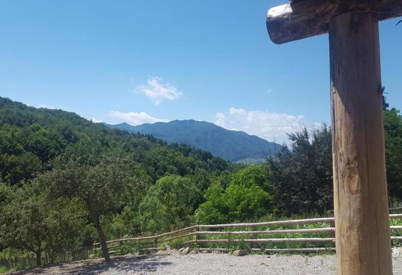 Номер Стандарт, Casa Din Piatra