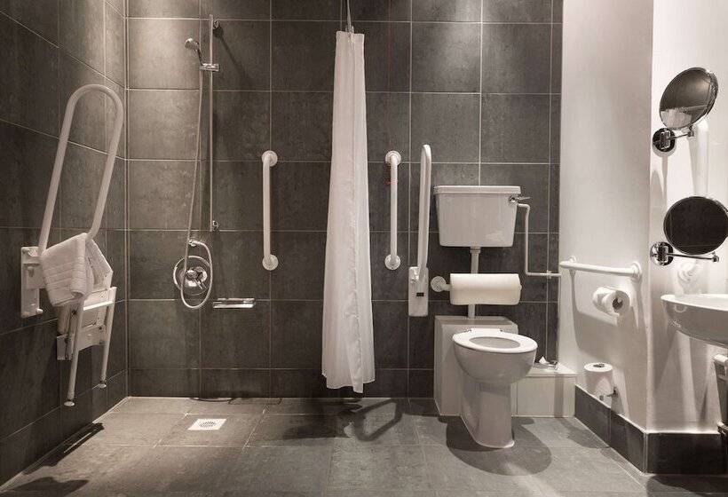 高级大房间, Park Plaza Cardiff