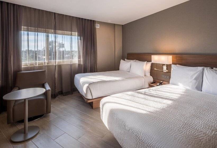 带2个双人床的标准工作室, Ac Hotel By Marriott Guadalajara Expo