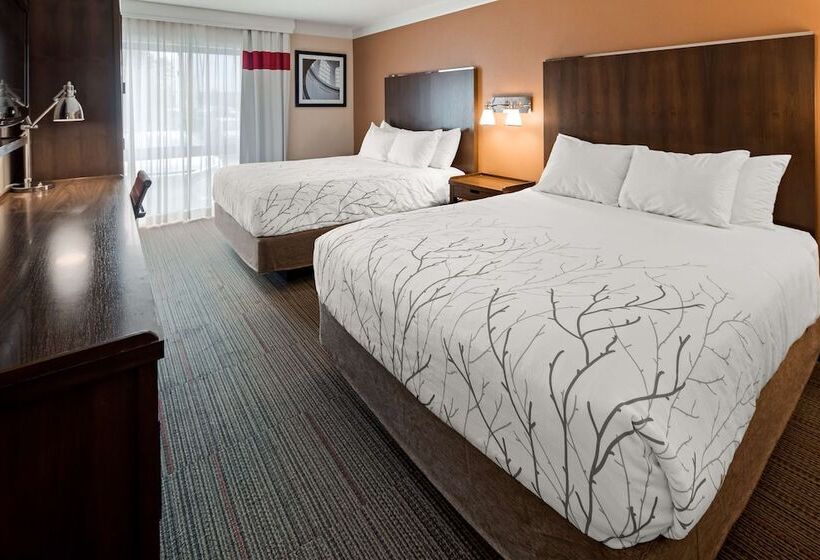 חדר סטנדרט שתי מיטות זוגיות, Waterloo Suites
