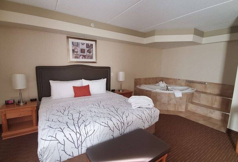 סוויטה עם ג'קוזי, Waterloo Suites