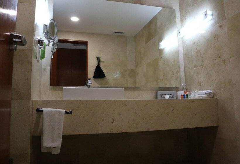 חדר ביזנס, Radisson Poliforum Plaza Hotel Leon