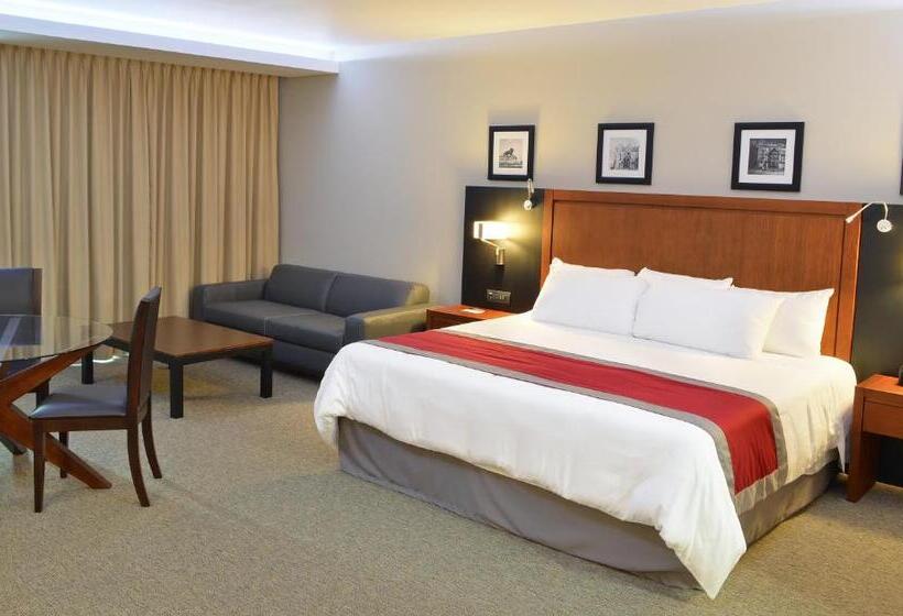 סטודיו סטנדרט, מיטה זוגית, Radisson Poliforum Plaza Hotel Leon
