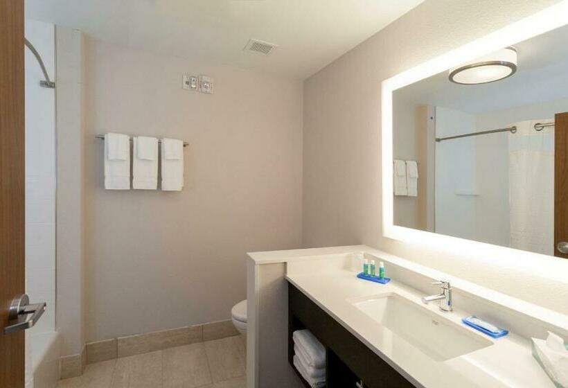 Стандартный Номер Кровать Кинг, Holiday Inn Express & Suites   Carlisle Southwest I 81, An Ihg