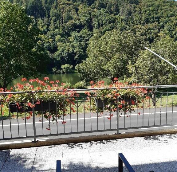 标准间带阳台, Haus Moselliebe B&b